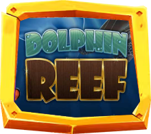 Dolphin-Reef