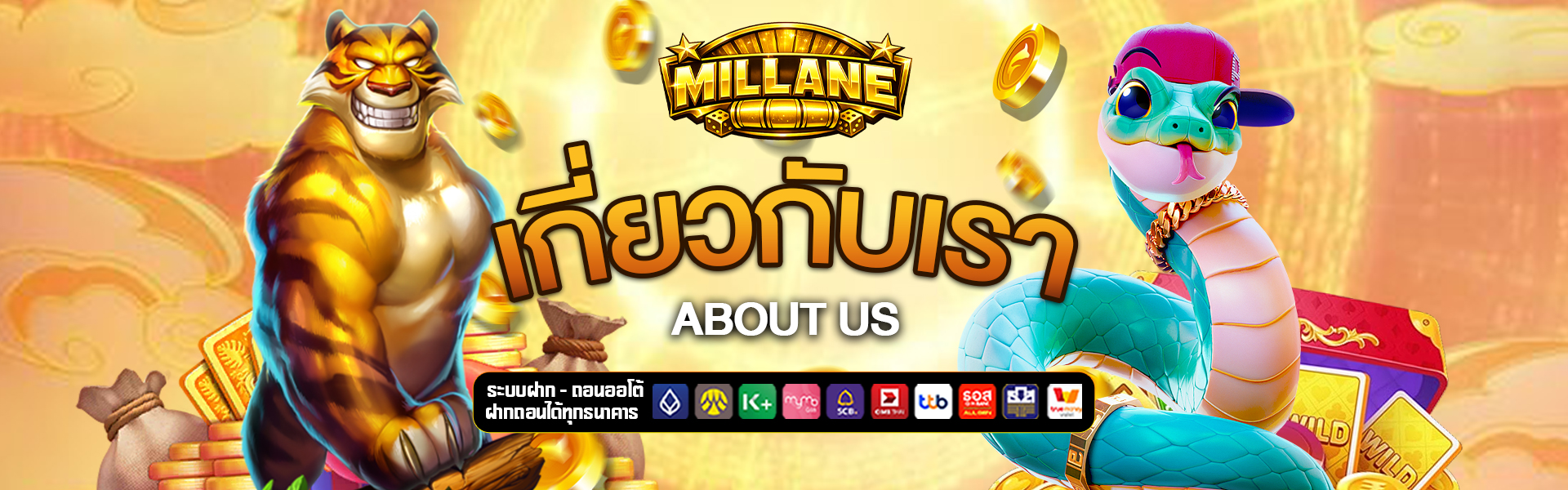 เกี่ยวกับเรา